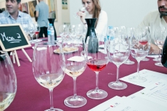 Galeria_23