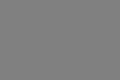 DSC01937